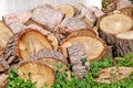 Heap of wood logs ready for winter. Cut tree trunks on grass. Stack of chopped firewood. A pile of woods in the house storage. Royalty Free Stock Photo