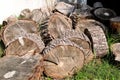 Heap of wood logs ready for winter. Cut tree trunks on grass. Stack of chopped firewood. A pile of woods in the house storage.