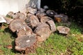 Heap of wood logs ready for winter. Cut tree trunks on grass. Stack of chopped firewood. A pile of woods in the house storage.