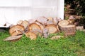 Heap of wood logs ready for winter. Cut tree trunks on grass. Stack of chopped firewood. A pile of woods in the house storage.