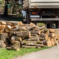 Heap of wooden logs in a city park in Goryachy Klyuch, Russia. Copy space for text.