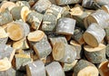 Wooden logs and cutted trunks Royalty Free Stock Photo