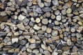 Heap of wooden logs. Dry chopped pile of firewood