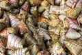 Heap of ZhongZi - traditional Chinese rice dish in bamboo leaves Royalty Free Stock Photo