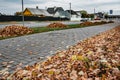 Heaps of autumn leaves in city. Collected in a pile of fallen leaves on a city street.