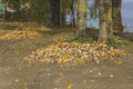 Heaps of autumn leaves on green grass in a park