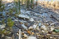Heaps of construction waste, household waste, foam and plastic bottles on the shore of a forest lake, environmental pollution