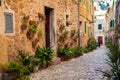 Heaps of flower pots in small village Valldemossa Royalty Free Stock Photo