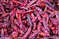 Heaps of freshly dried spicy chilli pepper Royalty Free Stock Photo