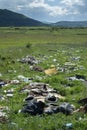 Heaps of garbage on green meadow