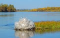 heaps of garbage plastic bags environmental pollution, heaps of garbage in the river ,