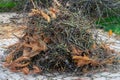 Heaps of garden waste to burn in the garden Royalty Free Stock Photo