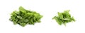 Heaps of green arugula leaves on white background. Banner design Royalty Free Stock Photo