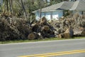 Heaps of limbs and branches debris from hurricane winds on street side waiting for recovery truck pickup in residential Royalty Free Stock Photo