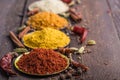 Heaps of various ground spices on wooden background. Georgian spices, Indian spices, Arabian spices. Spice variety. Herbs and spic