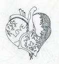 Heart