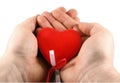 Heart Royalty Free Stock Photo