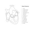 Heart anatomy infographic chart. Vector black and white illustration. Inner organ cross section with text caption anatomical