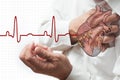 Heart attack and heart beats cardiogram Royalty Free Stock Photo