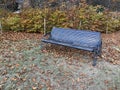 Autumn park bench with lawn and colorful trees Royalty Free Stock Photo