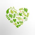 Heart background with leaves and flowers Royalty Free Stock Photo