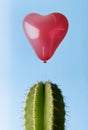 Heart balloon floating above cactus