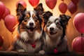 Heart balloon unites Border Collies, encapsulating their affectionate bond