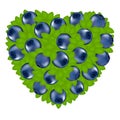 Heart From Bilberry