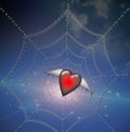 Heart in Binary Web