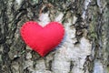 Heart on birchbark Royalty Free Stock Photo