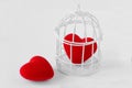Heart in a bird cage and free heart - Love and freedom concept
