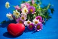 Heart on blue background, with margarites Royalty Free Stock Photo