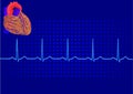Heart& blue electrocardiogram 3 Royalty Free Stock Photo
