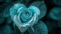 heart blue rose with enchanting realms