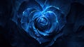 heart blue rose with enchanting realms