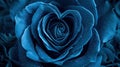 heart blue rose with enchanting realms Royalty Free Stock Photo