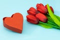 A heart and a bouquet of red tulips on a pastel blue background. The concept of love and expressing your feelings for your loved