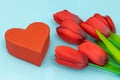 A heart and a bouquet of red tulips on a pastel blue background. The concept of love and expressing your feelings for your loved