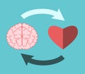 Heart, brain, circular interaction