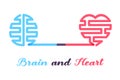 Heart and brain connected, Emotions and logic concept,