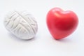 Heart and brain figures lie next to each other on white background. Visualization of connection between brain and heart, choice in