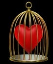 Heart in cage Royalty Free Stock Photo