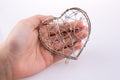 Heart cage Royalty Free Stock Photo