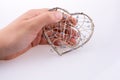 Heart cage Royalty Free Stock Photo