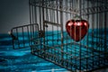 Heart in Cage