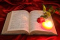 Heart candle on open Bible and red rose Royalty Free Stock Photo