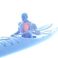 The heart of a canoeist Royalty Free Stock Photo