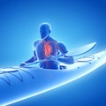 The heart of a canoeist Royalty Free Stock Photo