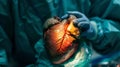 heart after cardiac transplantation with donor-recipient integration Royalty Free Stock Photo