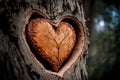 Heart carved in a tree - ecology, environment, background